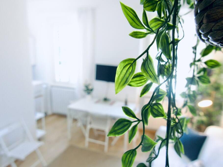 Bright Flat In Oltrarno *