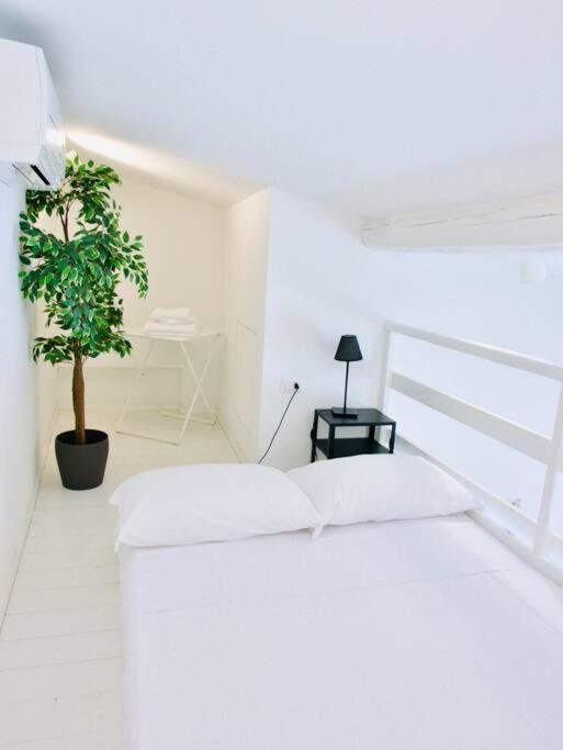 Bright Flat In Oltrarno *