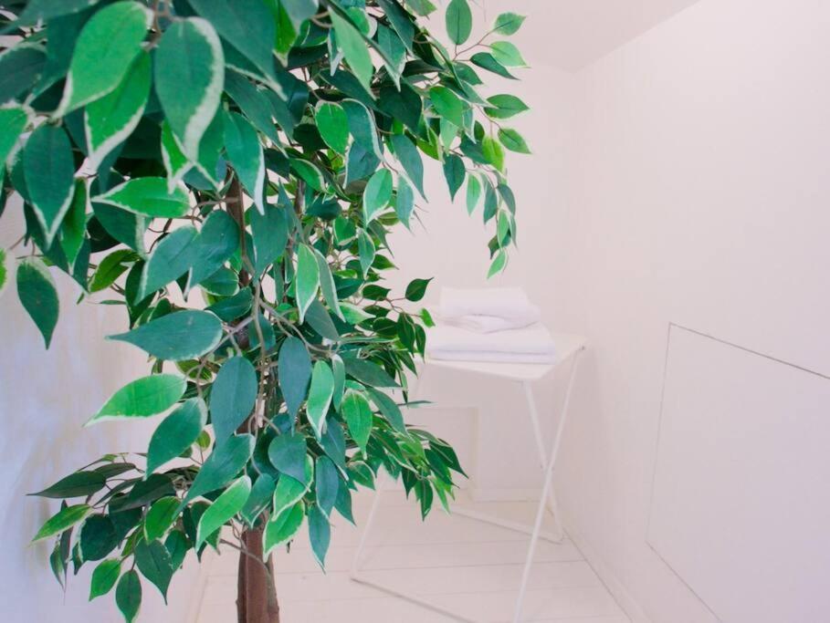 Bright Flat In Oltrarno Apartamento Florencia