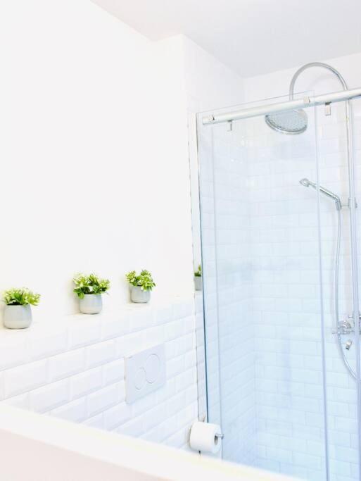 Bright Flat In Oltrarno