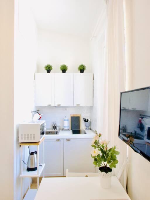 Bright Flat In Oltrarno Apartamento *