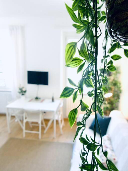 Bright Flat In Oltrarno Apartamento